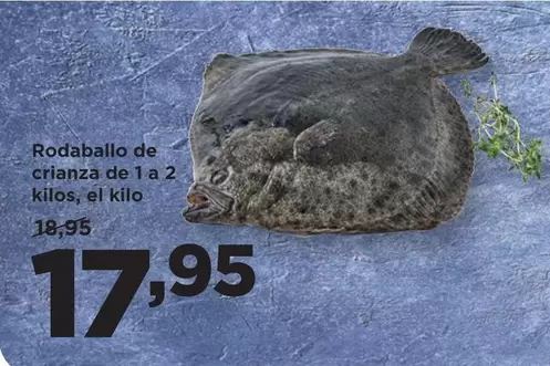 Rodaballo De Crianza