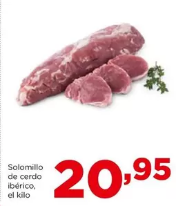 Solomillo De Cerdo Ibérico