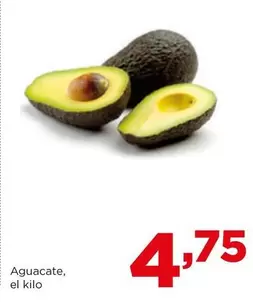 Aguacate