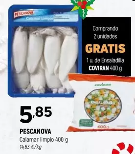 Pescanova - Calamar Limpio