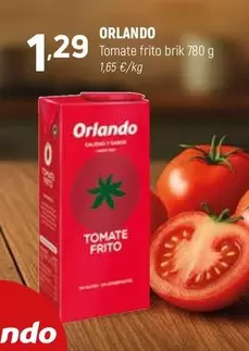 Orlando - Tomate Frito Brik