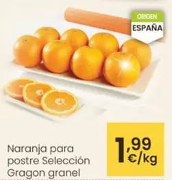 Naranja Para Postre Seleccion Gragon Granel