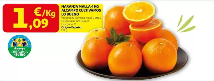 alcampo - Naranja Malla