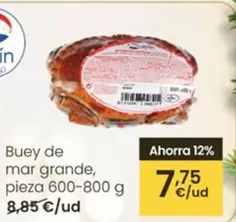 Delfín - Buey De Mar Grande