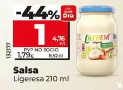 Ligeresa - Salsa 