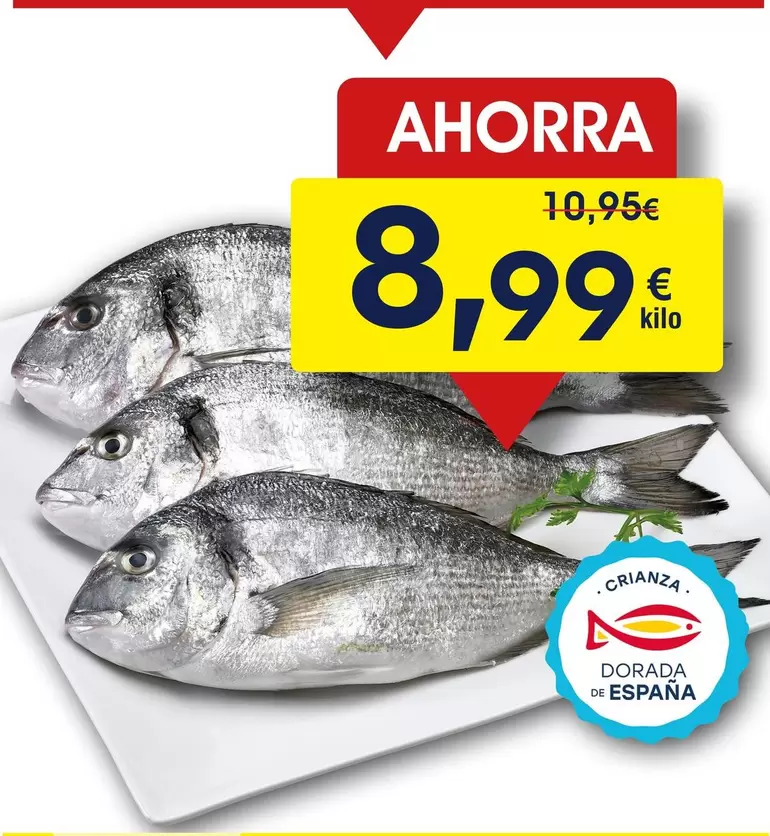 Dorada "espanza