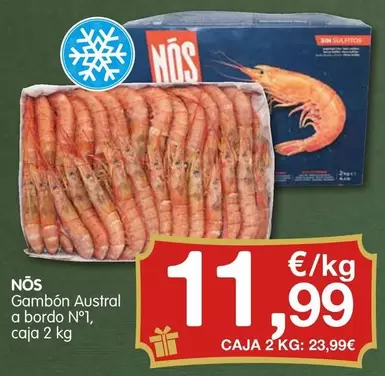 nos - Gambon Austral A Bordo N° 1