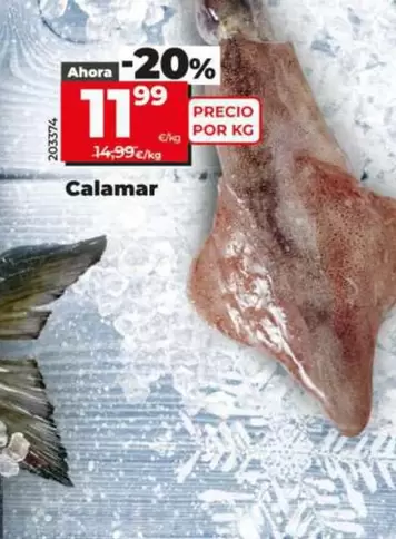 Calamar