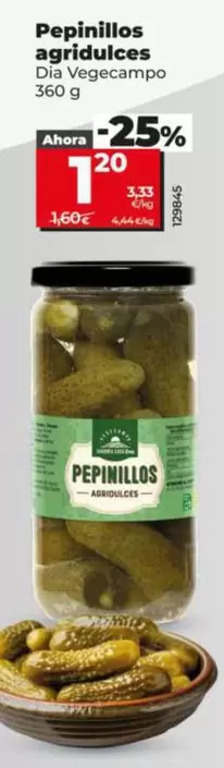 Dia Vegecampo - Pepinillos Agridulces