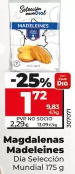 Dia Seleccion Mundial - Magdalenas Madeleines