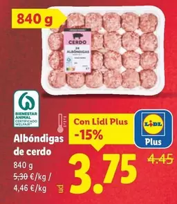 Albóndigas De Cerdo