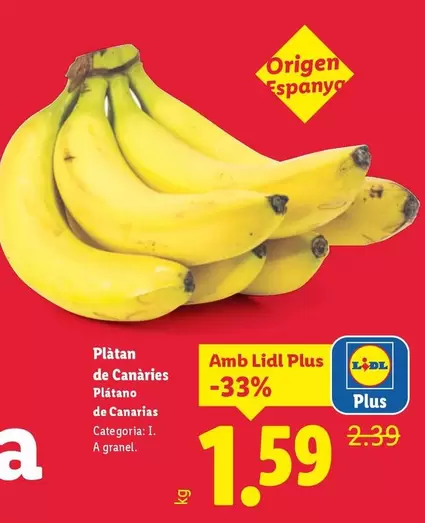 Plátano De Canarias 