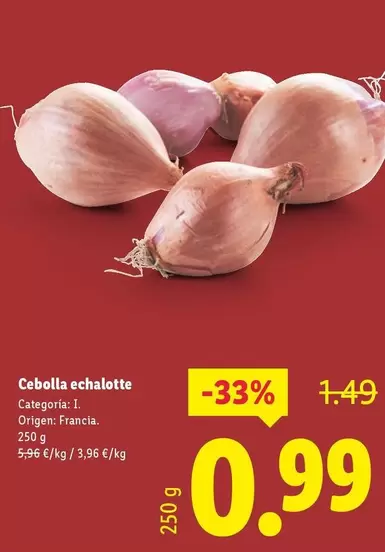 Cebolla Echalotto