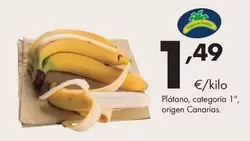 Plátano, Categoría 1º, Origen Canarias