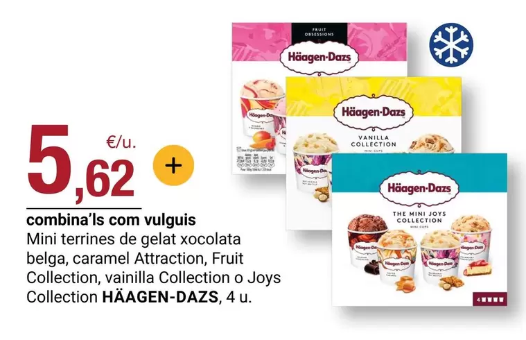 Häagen-Dazs - Mini Terrines De Gelat Xocolata Belga, Caramel Attracticon, Fruit Collection O Joys Collection