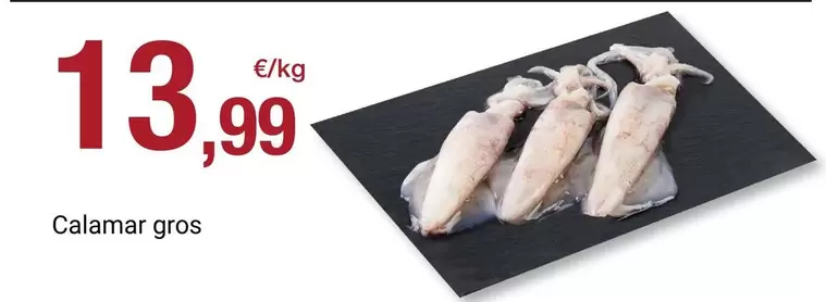 Calamar Gros