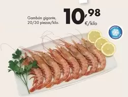 Gambón Gigante, 20/30 Piezas