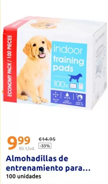 Indoor - Almohadillas De Entrenamiento Para