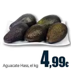 Aguacate Hass