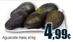 Aguacate Hass