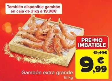 Gambon Extra Grande