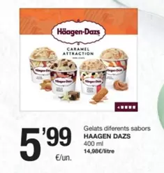 Häagen-Dazs - Gelats Diferents Sabors