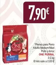 Purina - Pienso Para Perro Adulto Medium/maxi Pollo Y Arroz