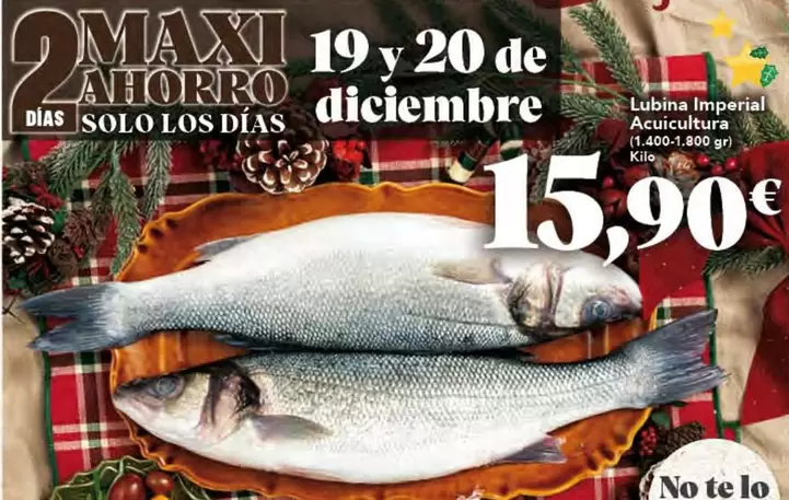 Solo - Lumina Imperial