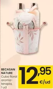 Becasan Nature - Cubo Floral Aroma-Terapia