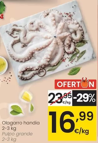 Pulpo Grande