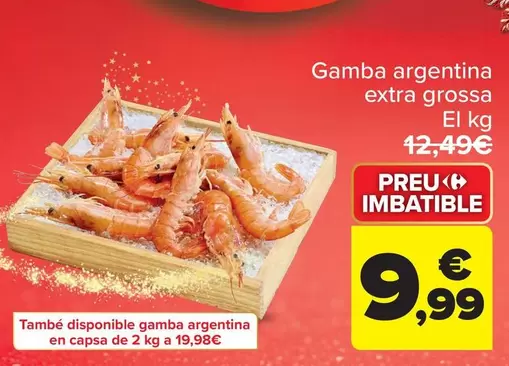 Gambon Extra Grande