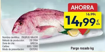 Pargo Rosado