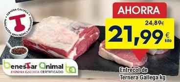 Gallega - Entrecot De Ternera