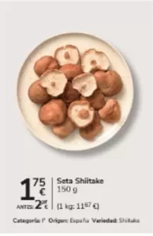 origen - Seta Shiitake