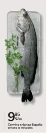 España - Corvina Crianza Espana Entera O Mitades