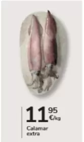 Calamar Extra