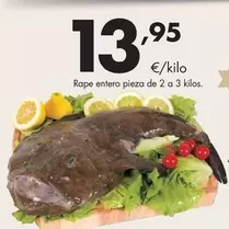 Rape Entero Pieza De 2 A 3 Kilos