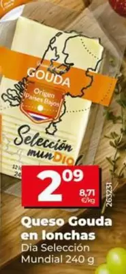 Dia Seleccion Mundial - Queso Gouda En Lonchas 240 G