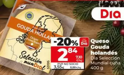Dia Seleccion Mundial - Queso Gouda Holandes