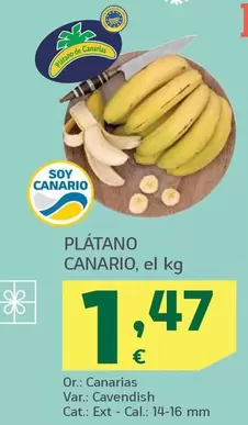 Plátano Canario