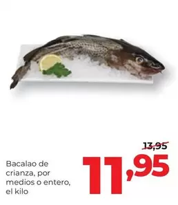 Bacalao De Crianza, Por Medios O Entero 