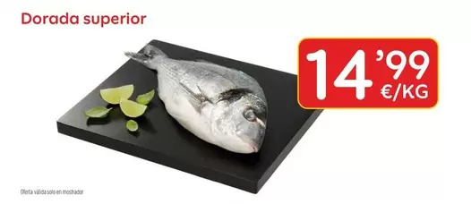 Solo - Dorada Superior