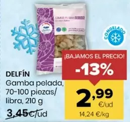Delfín - Gamba Pelada