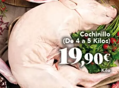 Cochinillo