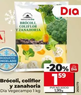 Dia Vegecampo - Brócoli, Coliflor Y Zanahoria