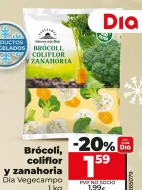 Dia Vegecampo - Brócoli, Coliflor Y Zanahoria 