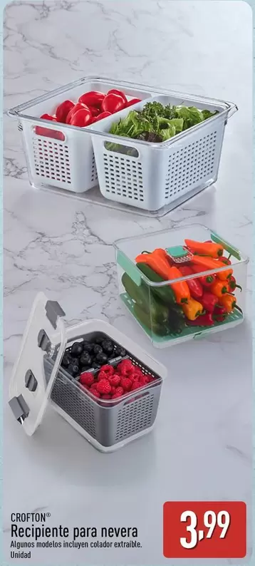 Crofton - Recipiente Para Nevera