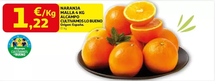 alcampo - Naranja Malta 4 Kg Alcampo Cultivamos O Bueno