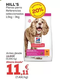 Hill's - Pienso Perro