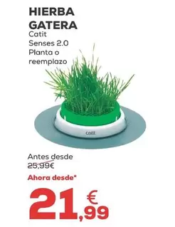 Catit - Hierba Gatera